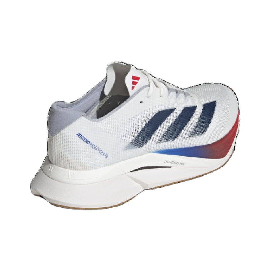 أحذية الجري أديداس أديزيرو بوس - مراجعة Adidas Shoes Adizero Boston 12 وسعره