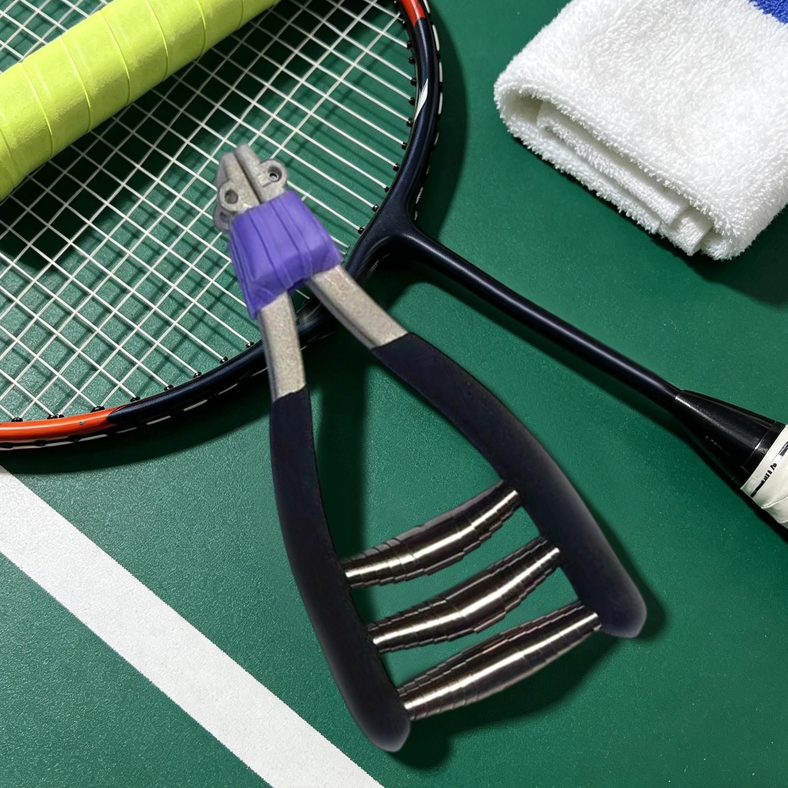 مشبك بدء التشغيل الاحترافي الع - مراجعة Badminton Fun وسعره